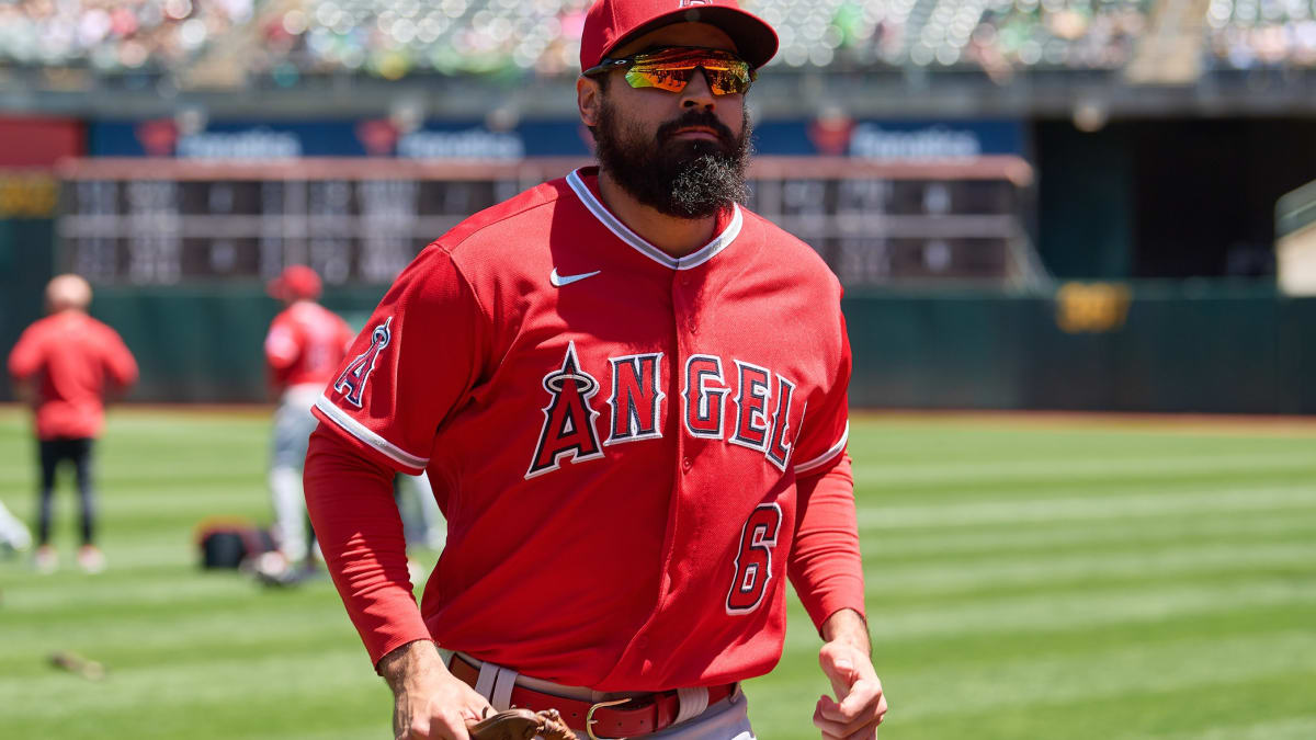 Angels activate 3B Anthony Rendon (groin) from IL