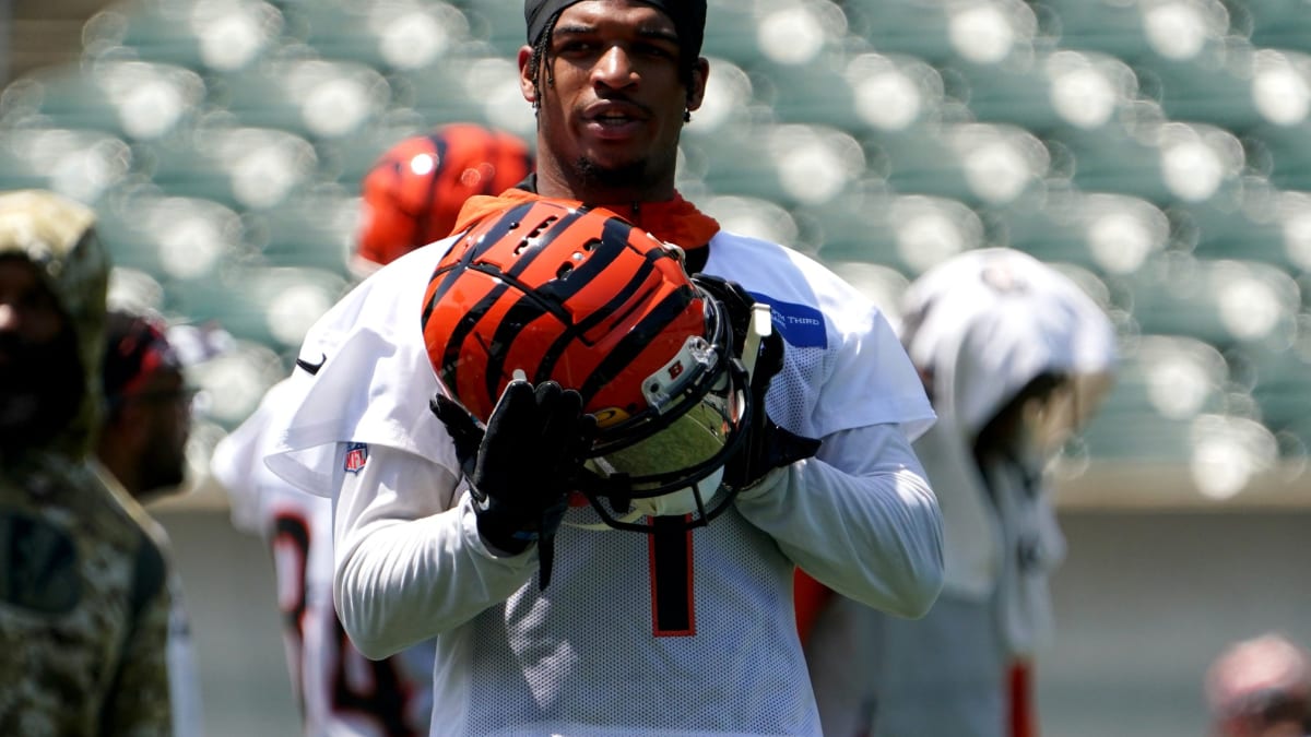 cincinnati bengals alternate helmets