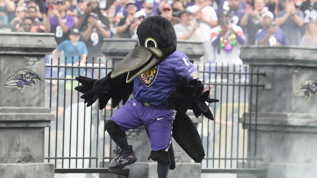 Baltimore Style Baltimore Orioles And Baltimore Ravens Mascots