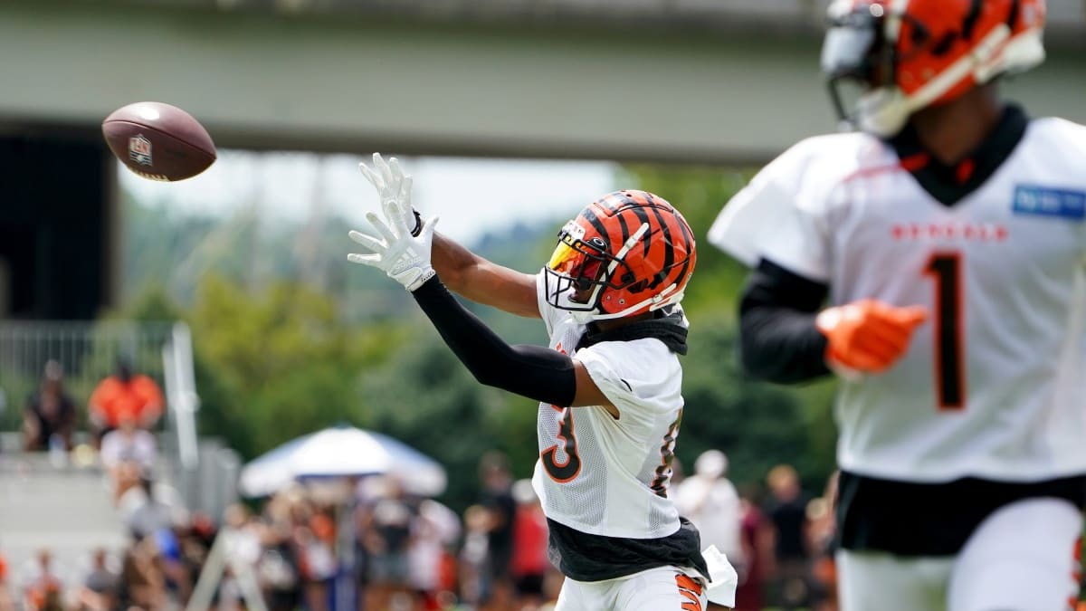 Photo Gallery: Best Shots From Bengals Media Day 2020