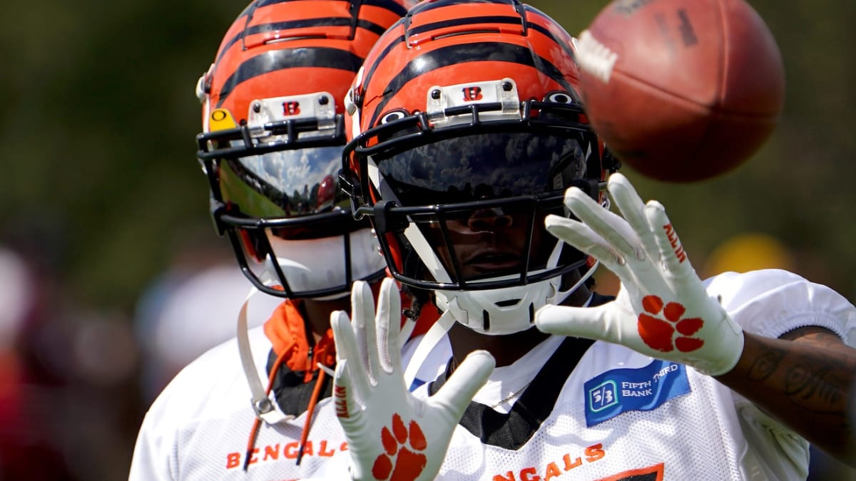 Cincinnati Bengals WR Tee Higgins Gives Joe Burrow the All Clear: 'He's  Ready To Go' - Sports Illustrated Cincinnati Bengals News, Analysis and More