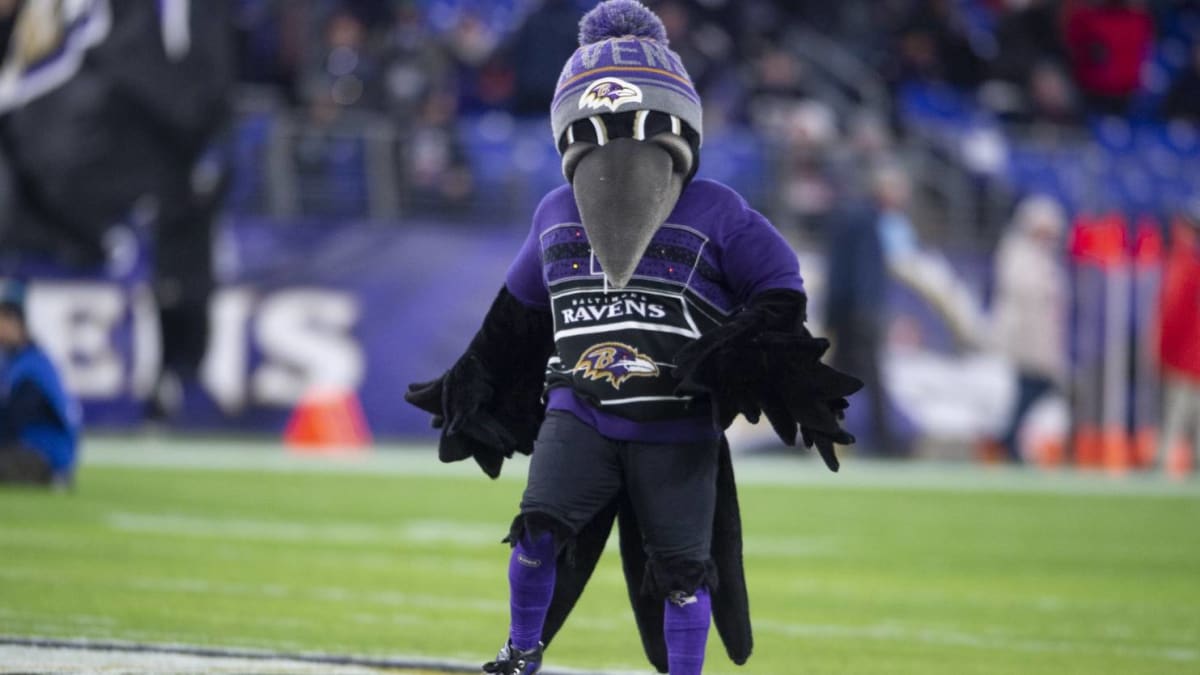 Baltimore Ravens mascot placed on leave after injury