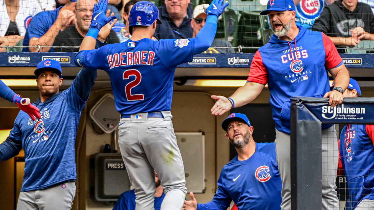 Should the Chicago Cubs Bring Back Franmil Reyes in 2023? - Sports  Illustrated Inside The Cubs