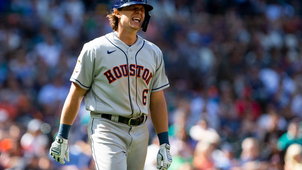 Jake Meyers is another amazing fruit of the Astros' outfield tree