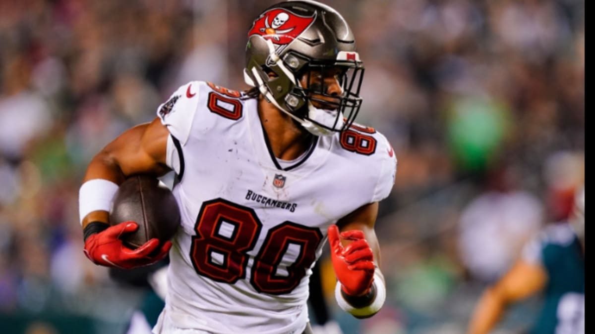 O.J. Howard of the Houston Texans gets set against the Washington