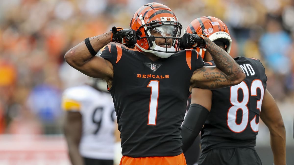 Bengals Sweatshirt, Ja'Marr Chase Flipping Off with Middle Finger  Fitzpatrick