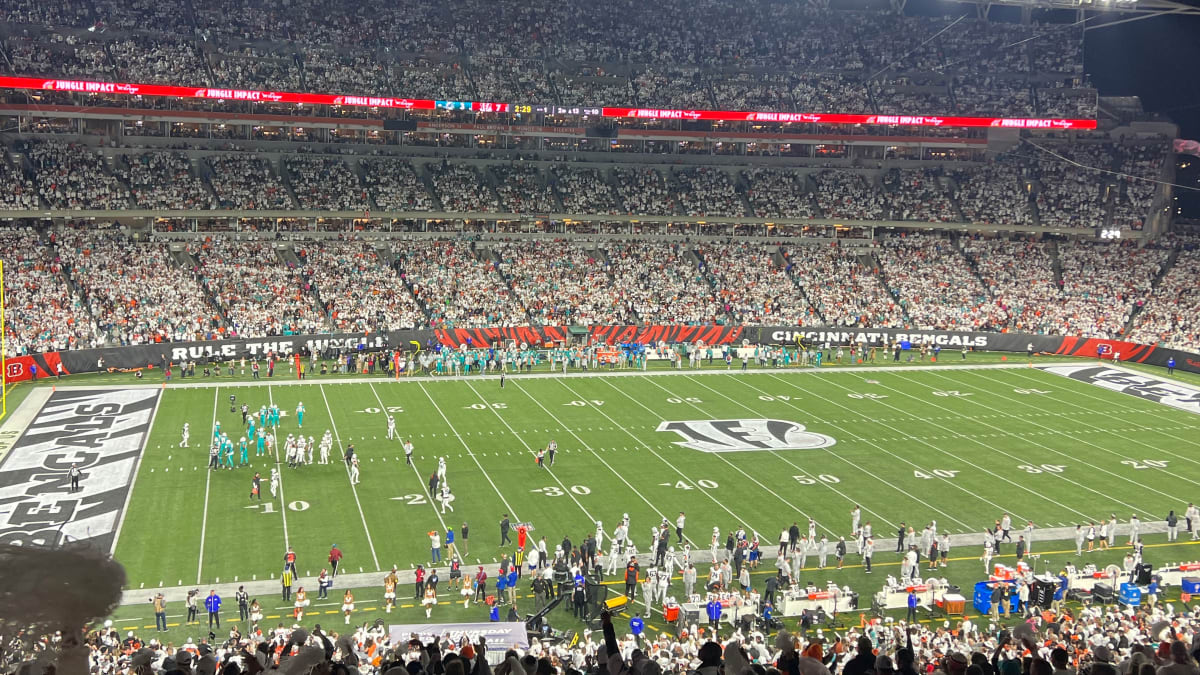 Cincinnati Bengals Unsigned White-Out Stadium Photograph