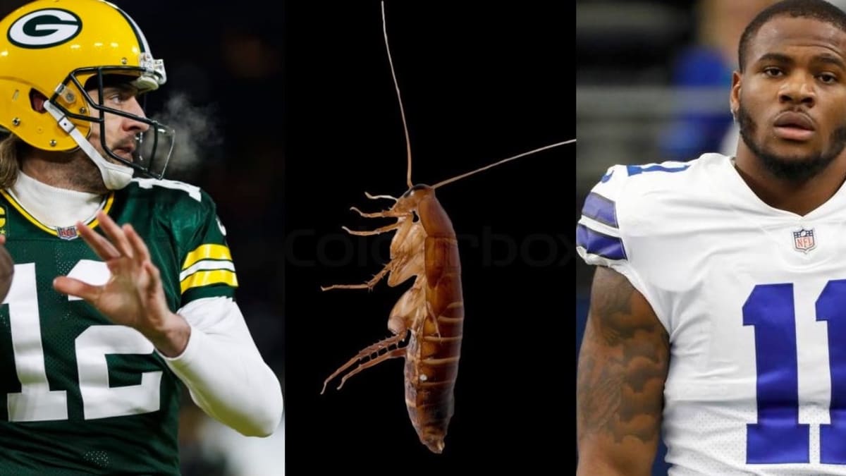 Respect the 'roach': Why Cowboys are on alert as Mike McCarthy returns to  face Aaron Rodgers, Packers