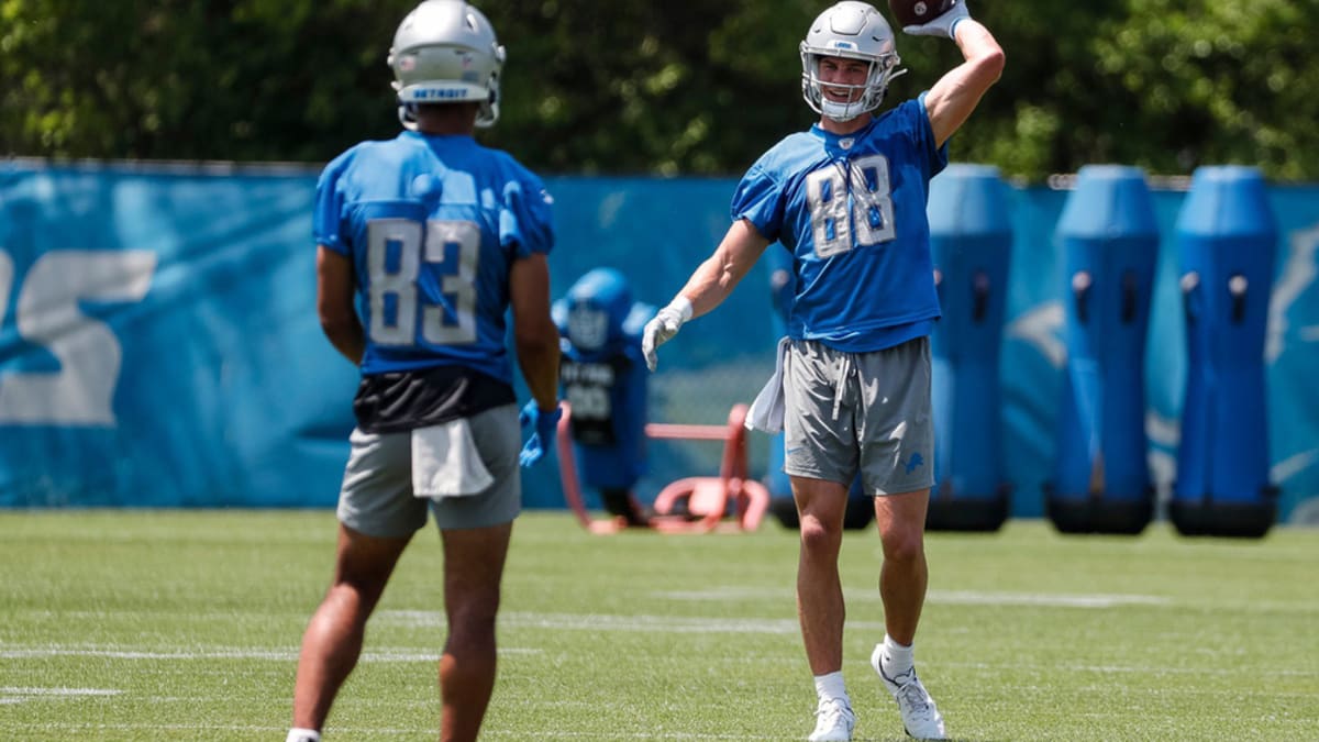 Detroit Lions sign 10 to practice squad, including Michael Badgley