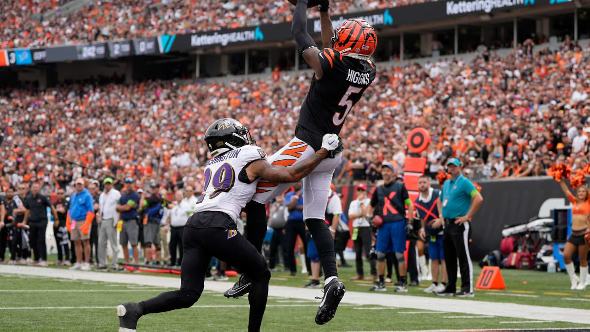 Joe Burrow expects a 'big year' from Bengals' Tee Higgins - Cincy Jungle