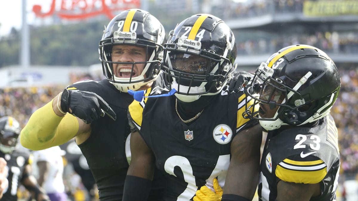 The Pittsburgh Steelers are still alive after last-minute 16-13 win over  Baltimore