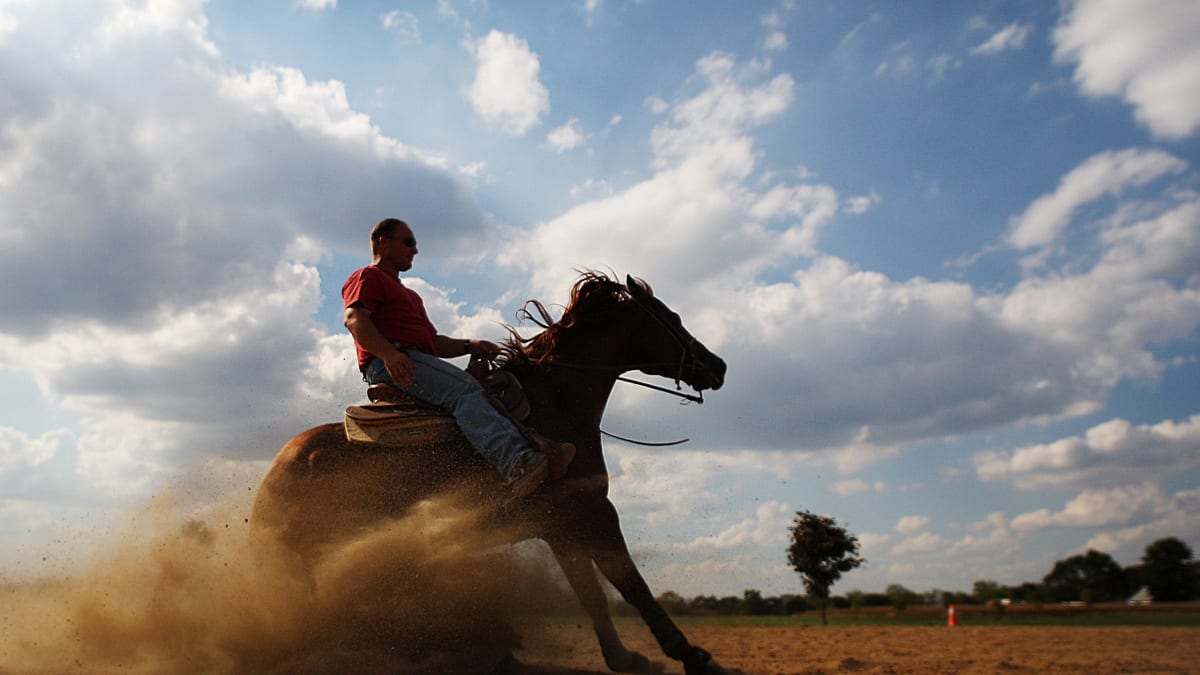 Triple Crown Near Misses - Sports Illustrated