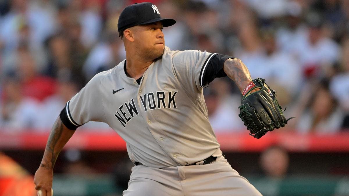 Sean Casey says he's had conversations about returning as Yankees