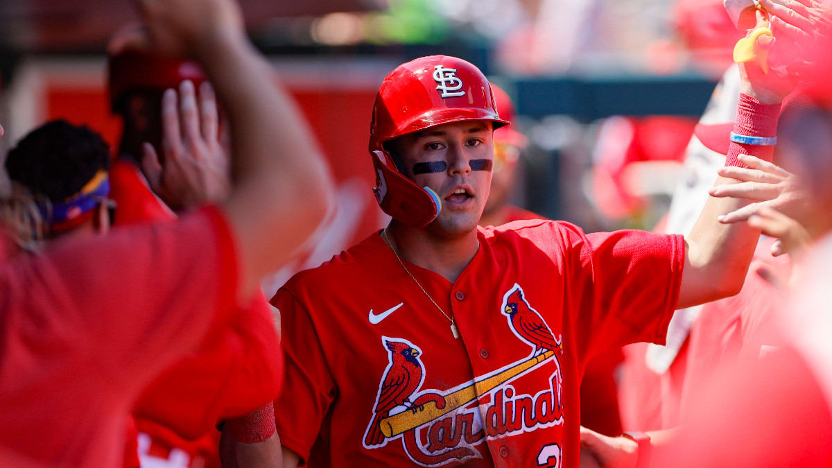 St. Louis Cardinals fans devastated as team's season ends with