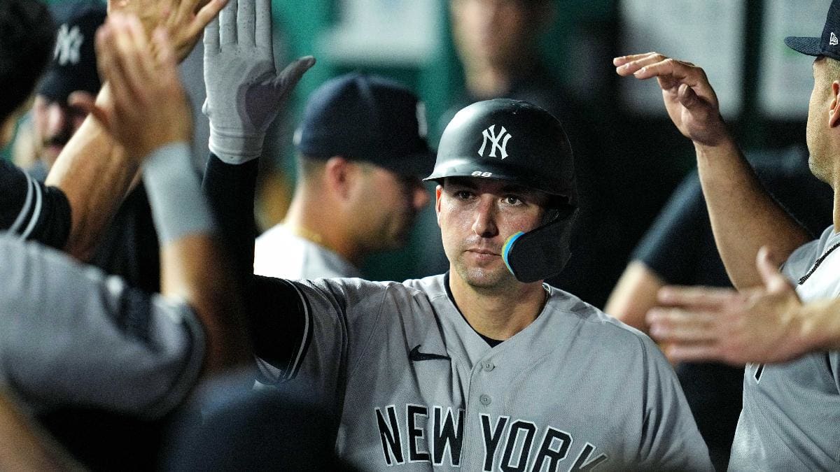 Yankees catcher Kyle Higashioka was a solid backup option in 2022 -  Pinstripe Alley