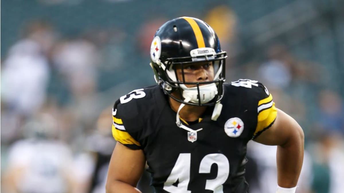 Troy Polamalu named Steelers captain for first time in 12-year