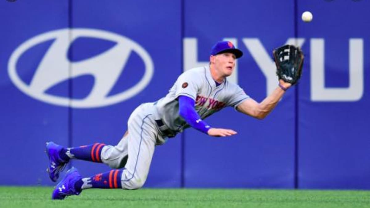 New York Mets on X: It's only fitting that @You_Found_Nimmo adopted an  adorable puppy. 🐶😃 (Via Brandon Nimmo on Instagram)   / X