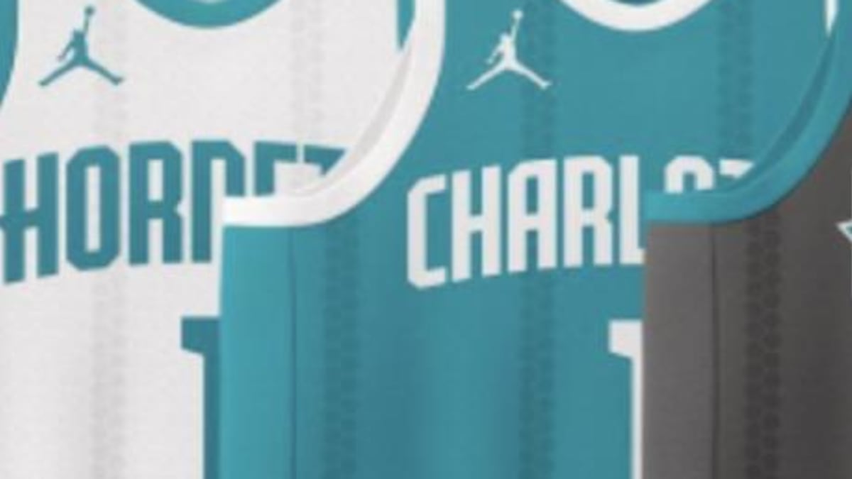 The new Charlotte Hornets logo, coming soon to a jersey near you