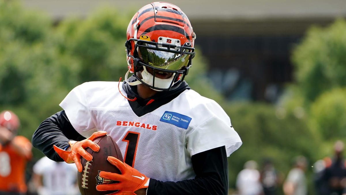 Defending AFC Champion Bengals fifth betting choice in NFL Super Bowl odds  