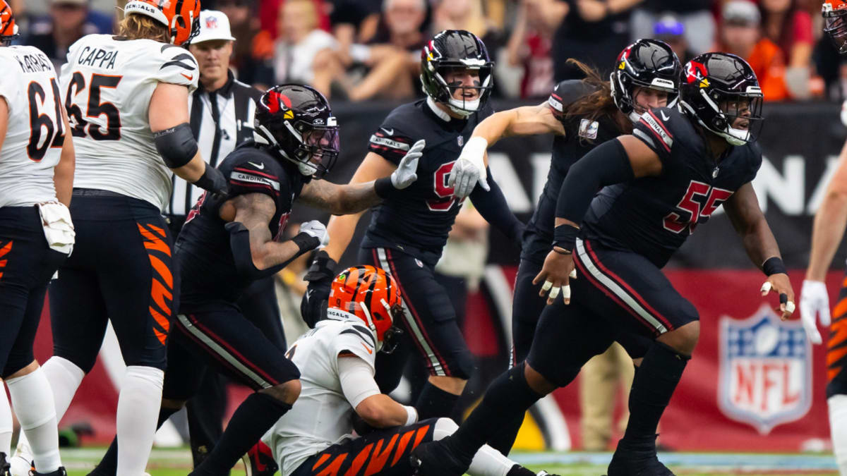 Stills records first NFL sack in Arizona's preseason win