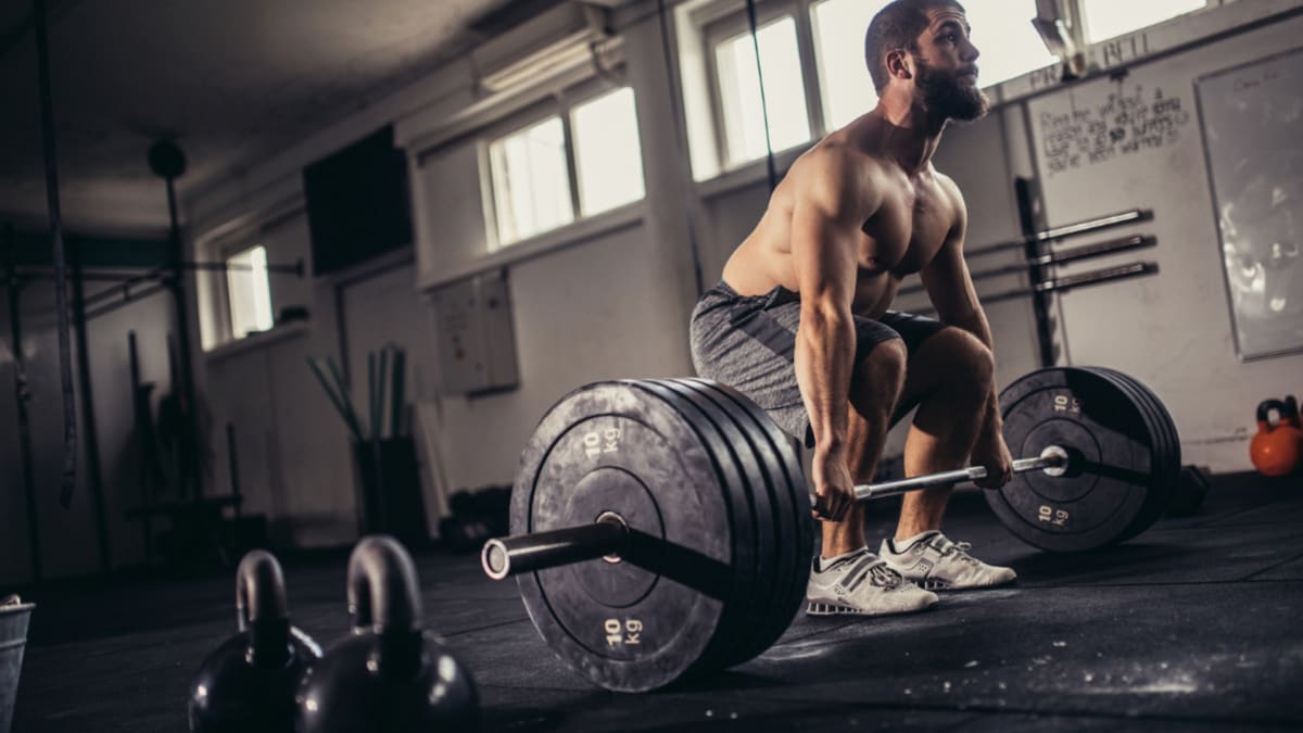 The best barbell hot sale