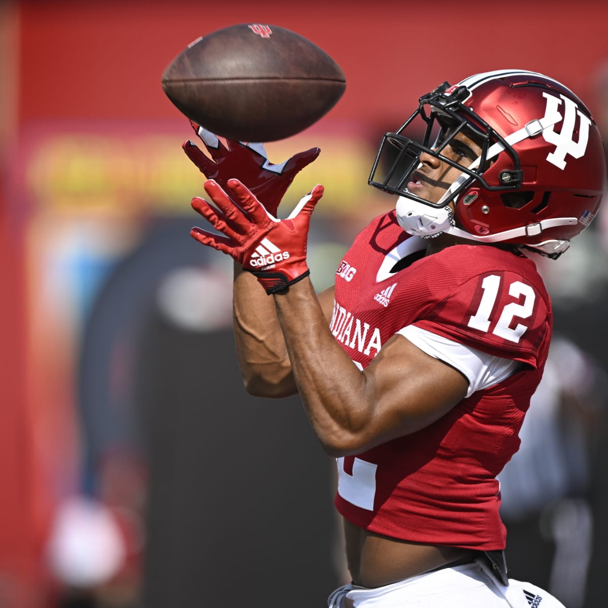 Indiana Football Players in NFL, Week 4: Nick Westbrook-Ikhine Dominates  Against Cincinnati - Sports Illustrated Indiana Hoosiers News, Analysis and  More