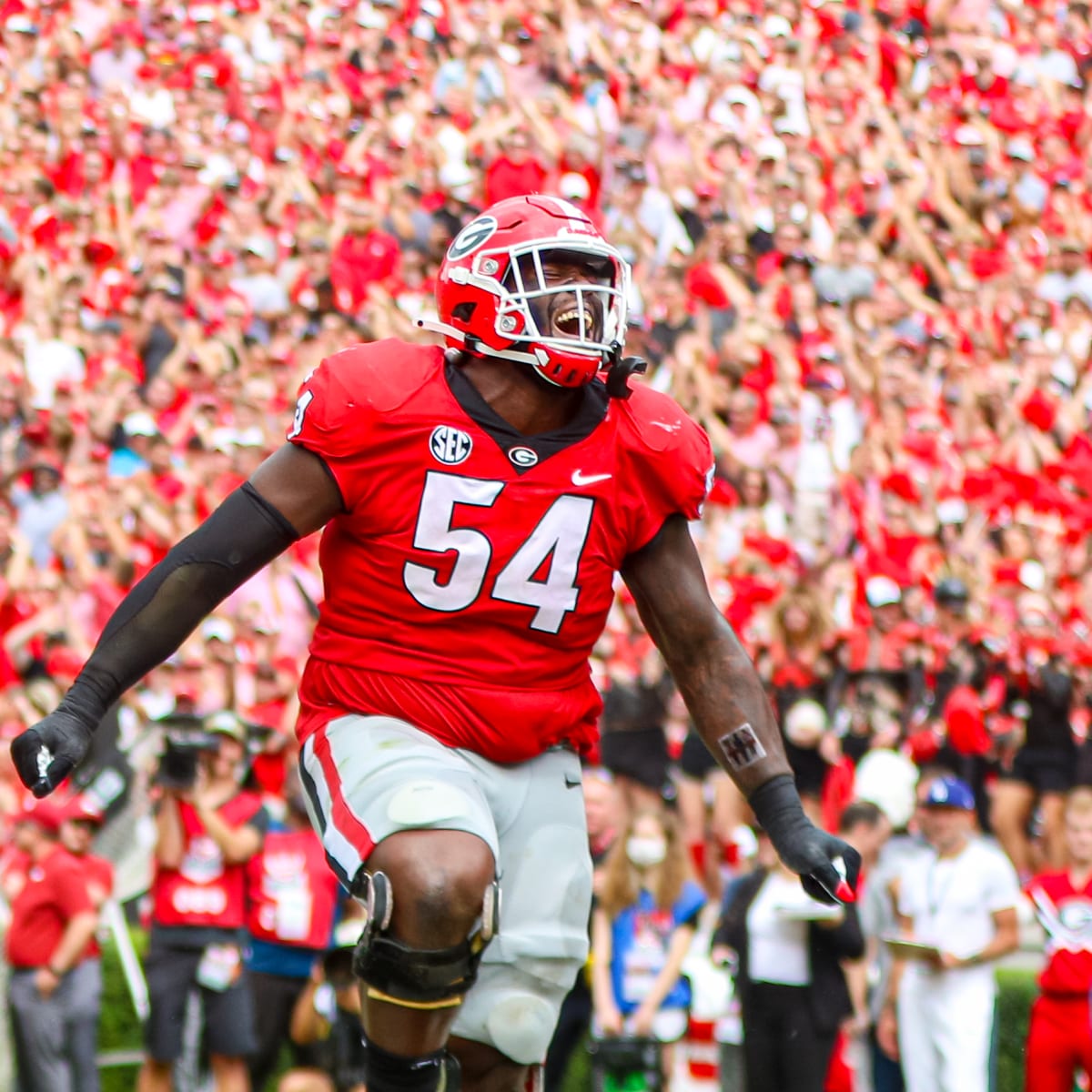 Atlanta falcons and Georgia Bulldogs