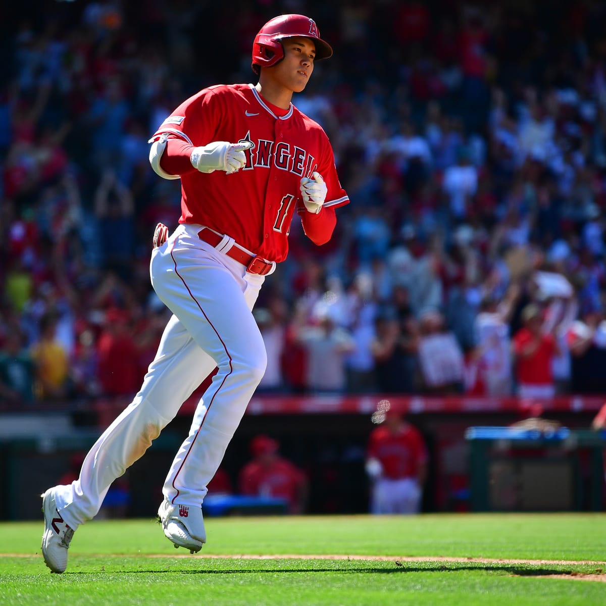 Padres News: Juan Soto Impressed by But Not Scared of Shohei Ohtani -  Sports Illustrated Inside The Padres News, Analysis and More