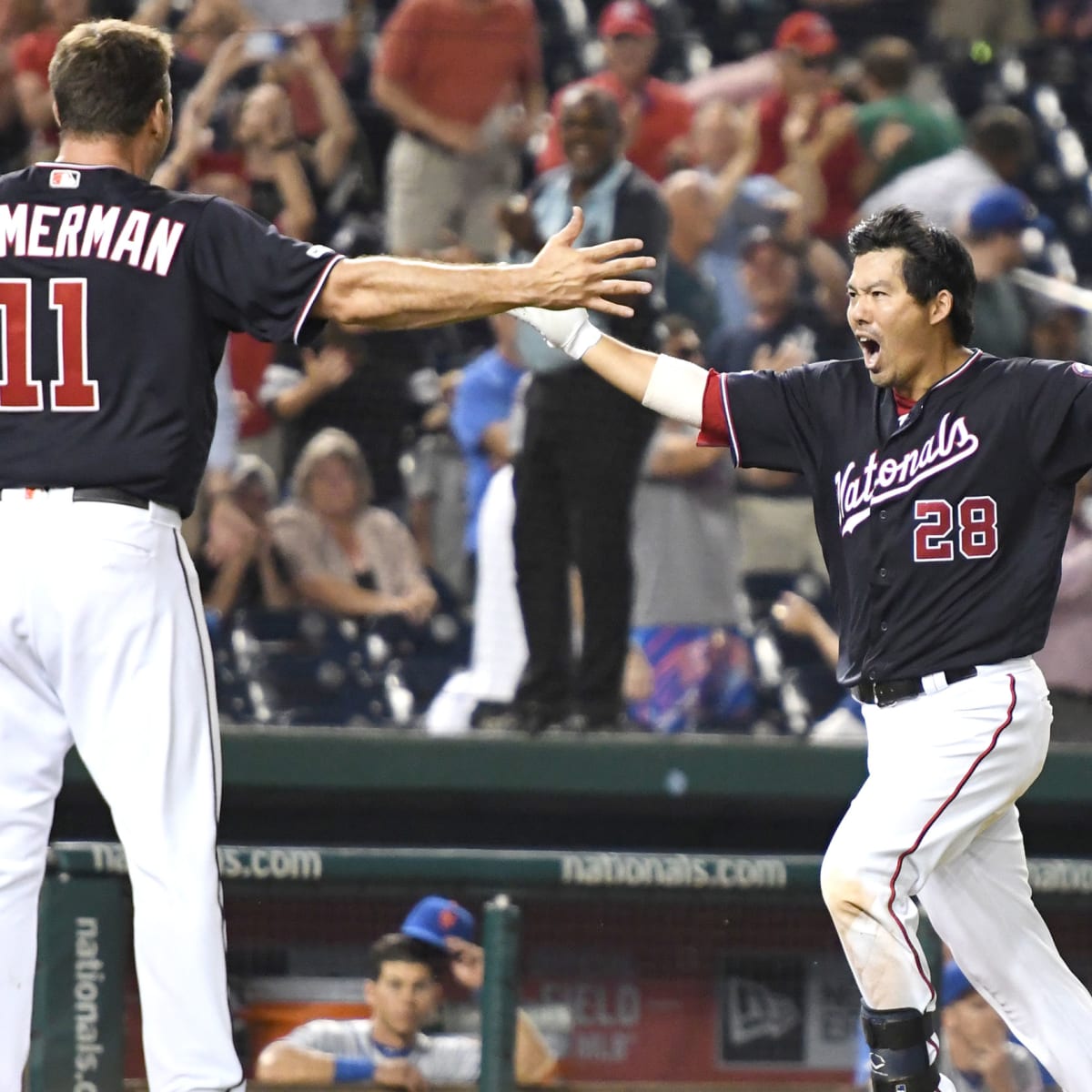 Nationals end skid with walk-off win over Mets