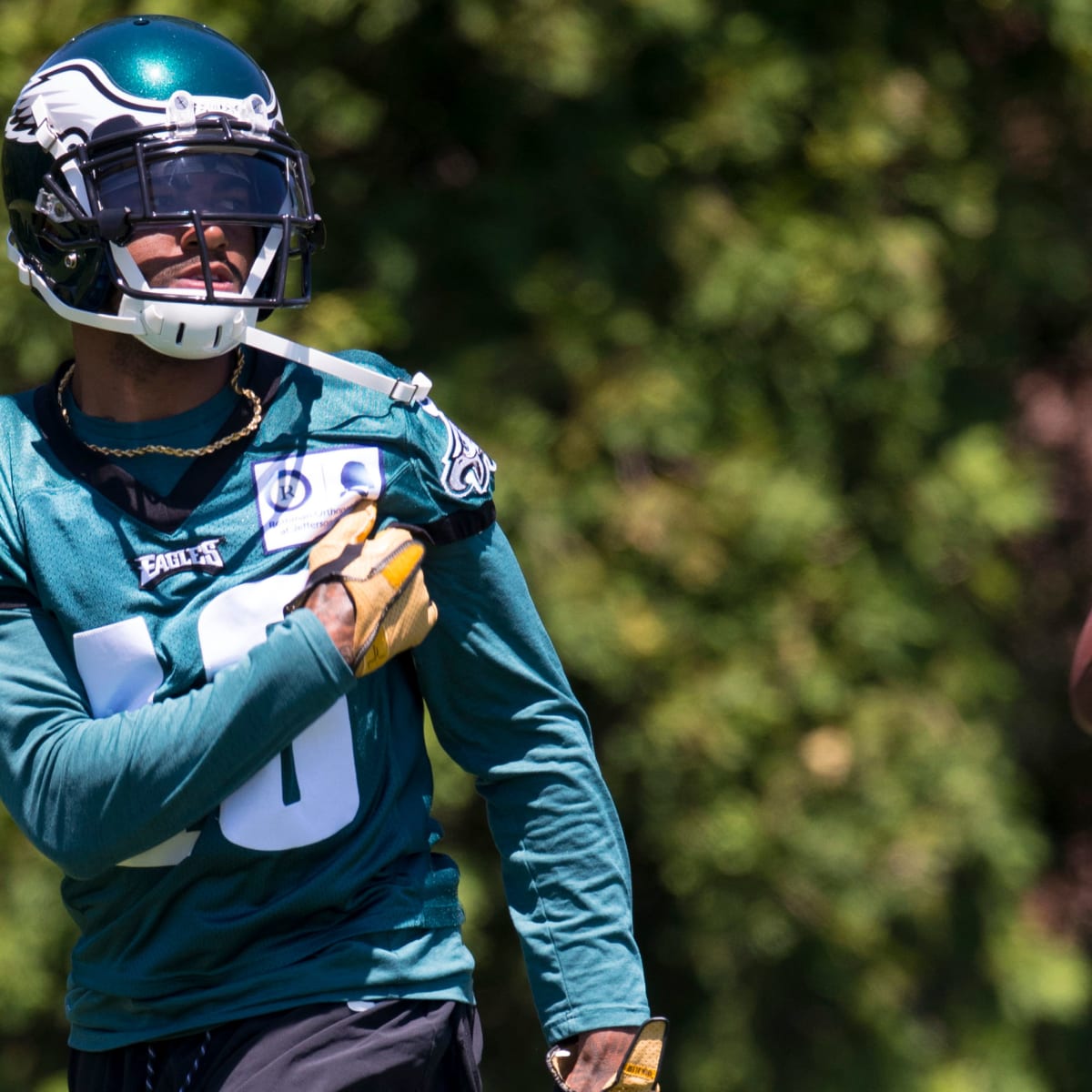 NFC East preview: Will DeSean Jackson help Eagles' fly deep? - Los