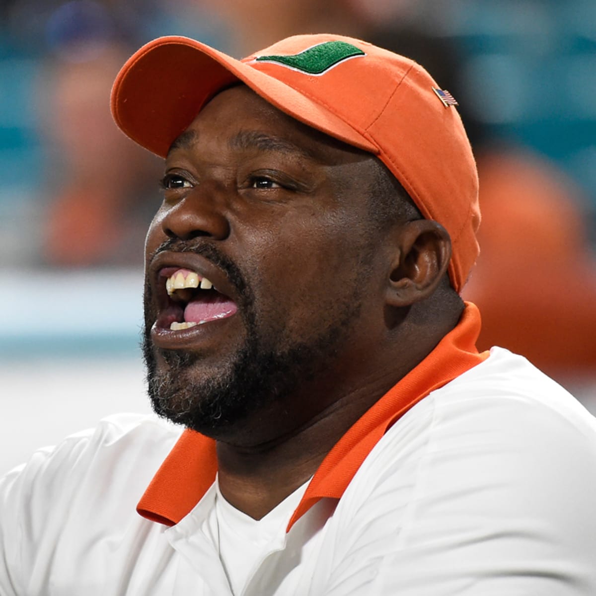 The Life And Career Of Warren Sapp (Story)