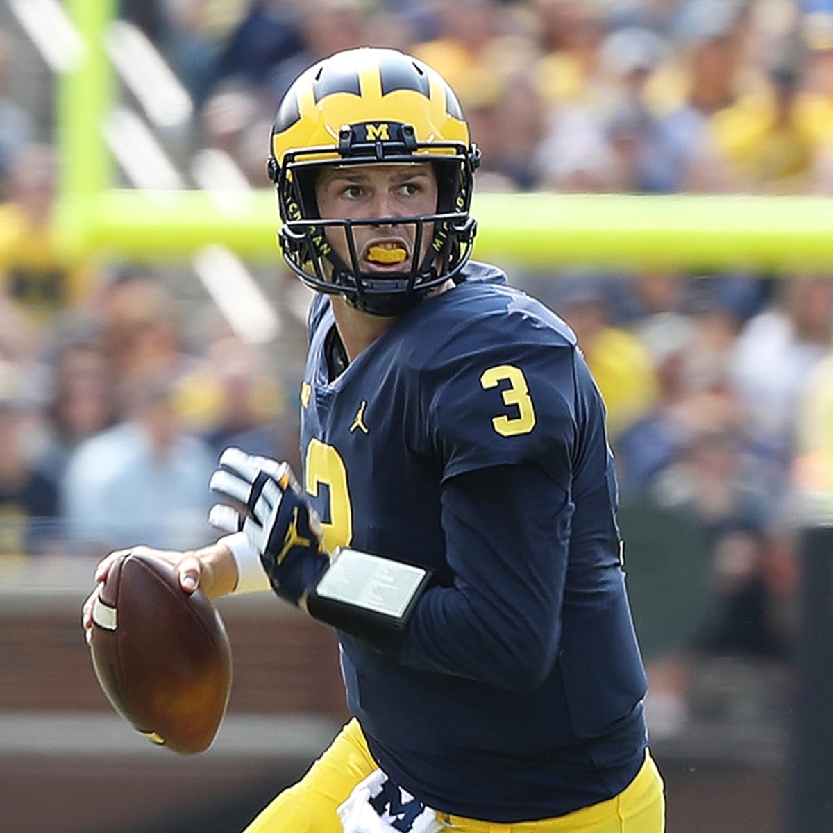 Wilton Speight