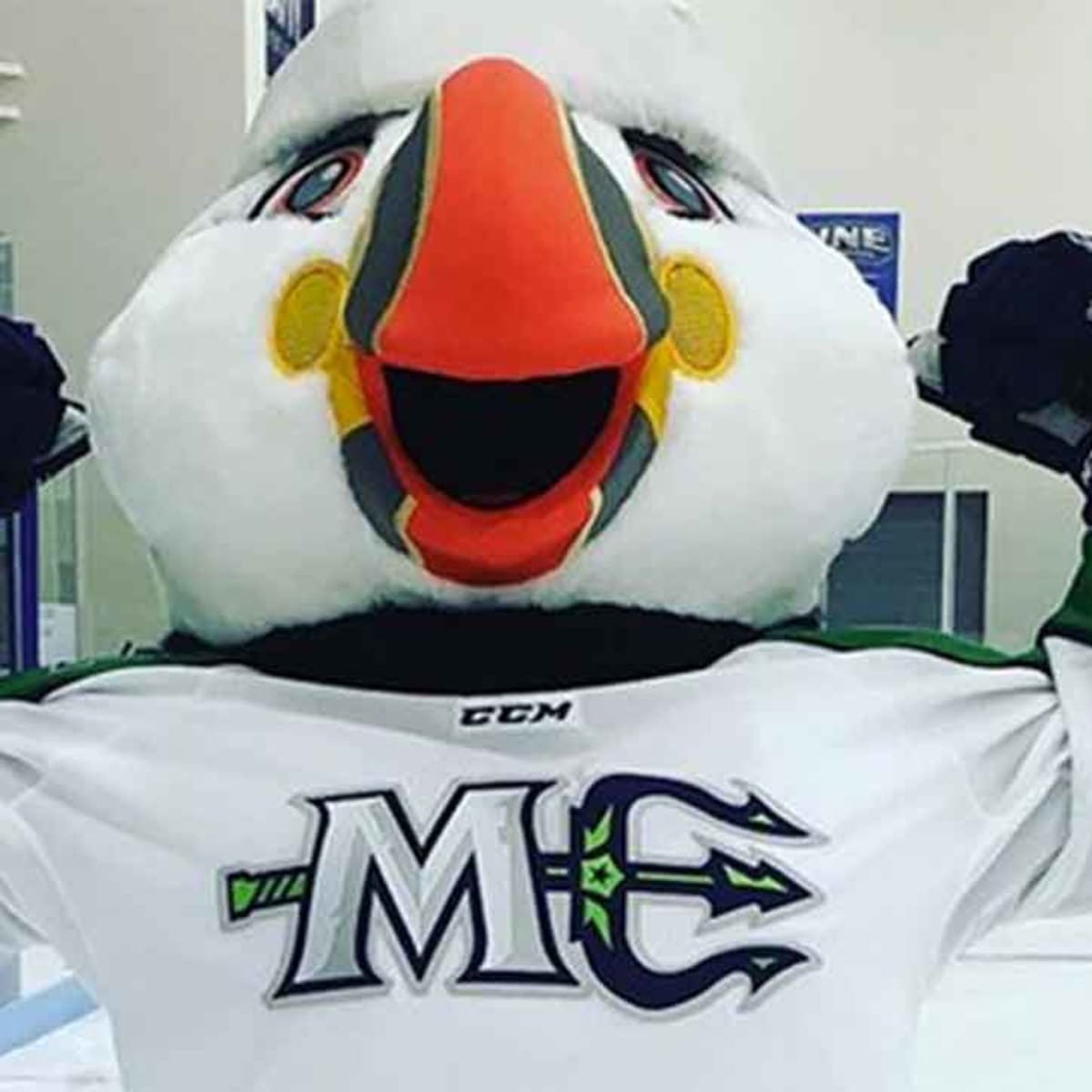 AHL Portland Maine Mariners Mascot Stuffed Plush Beacon 12 (A11
