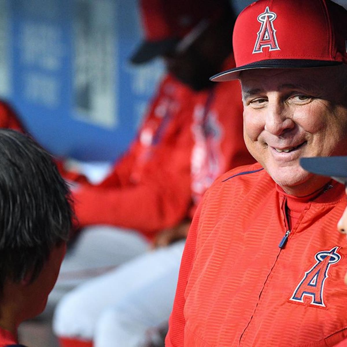 Mike Scioscia Stats, Fantasy & News