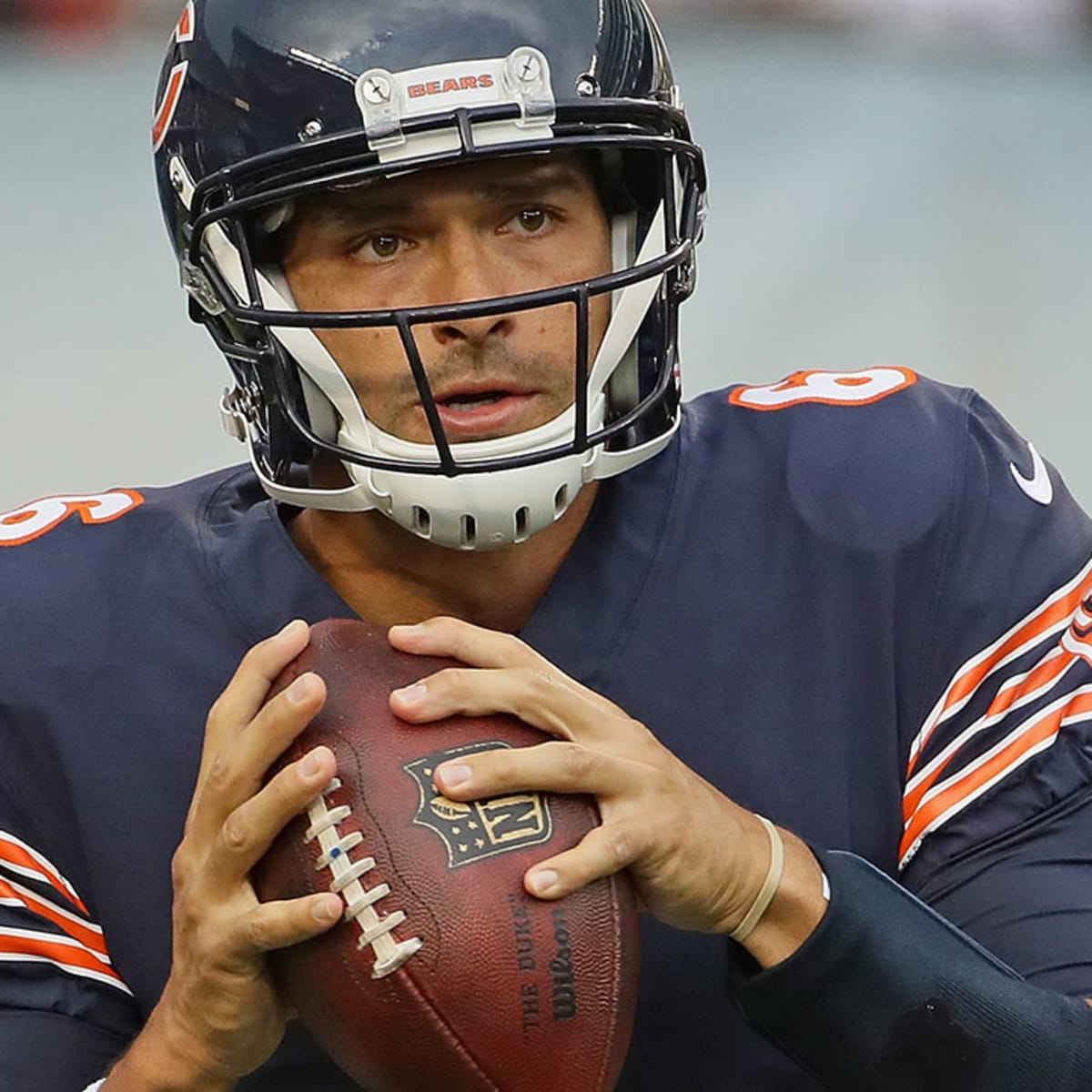 Bears Sign Mark Sanchez