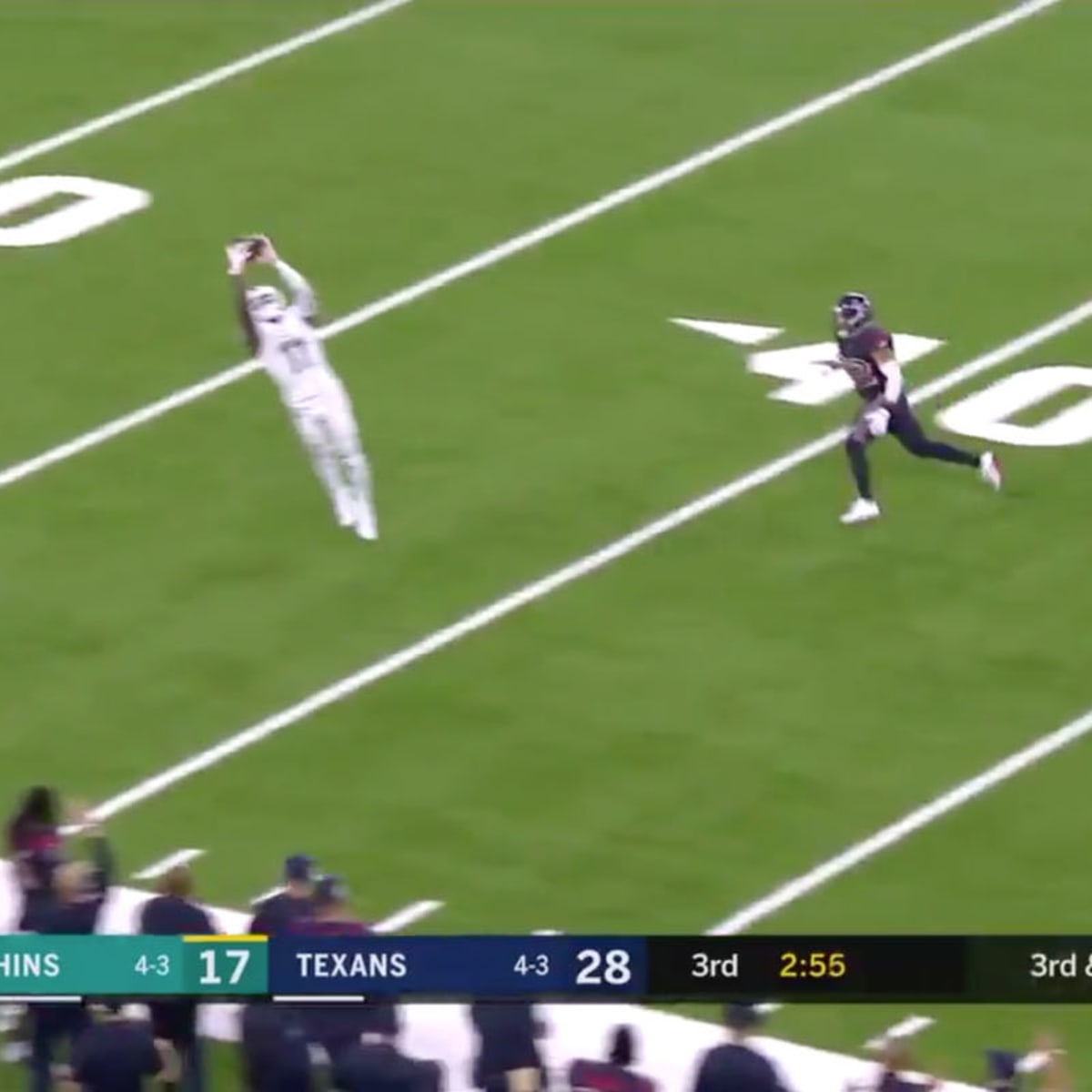 DeVante Parker Levitates for a Sky-Scraping TD Catch!, Ravens vs. Dolphins