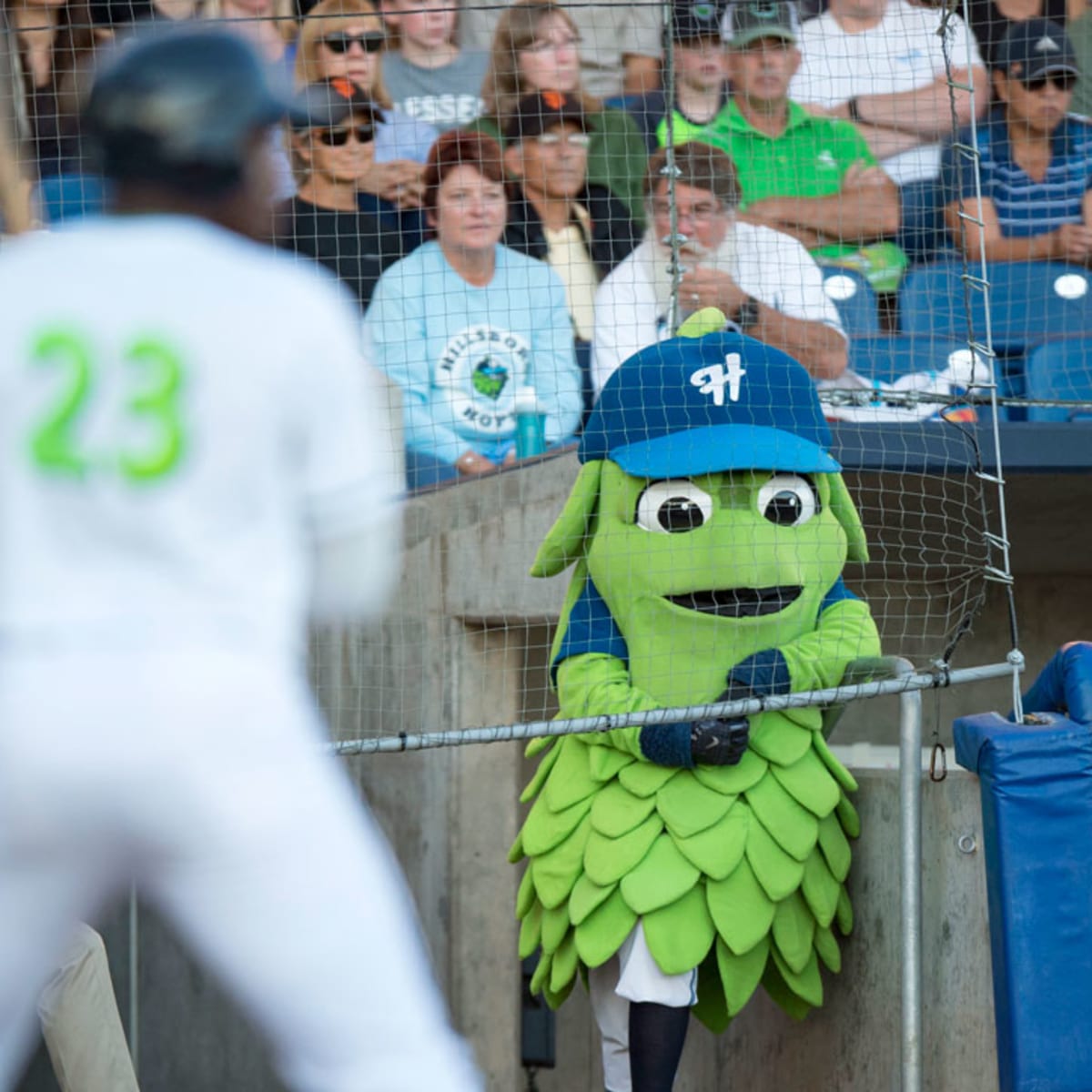 Tacoma's Rhubarb in running for minor league baseball's best mascot