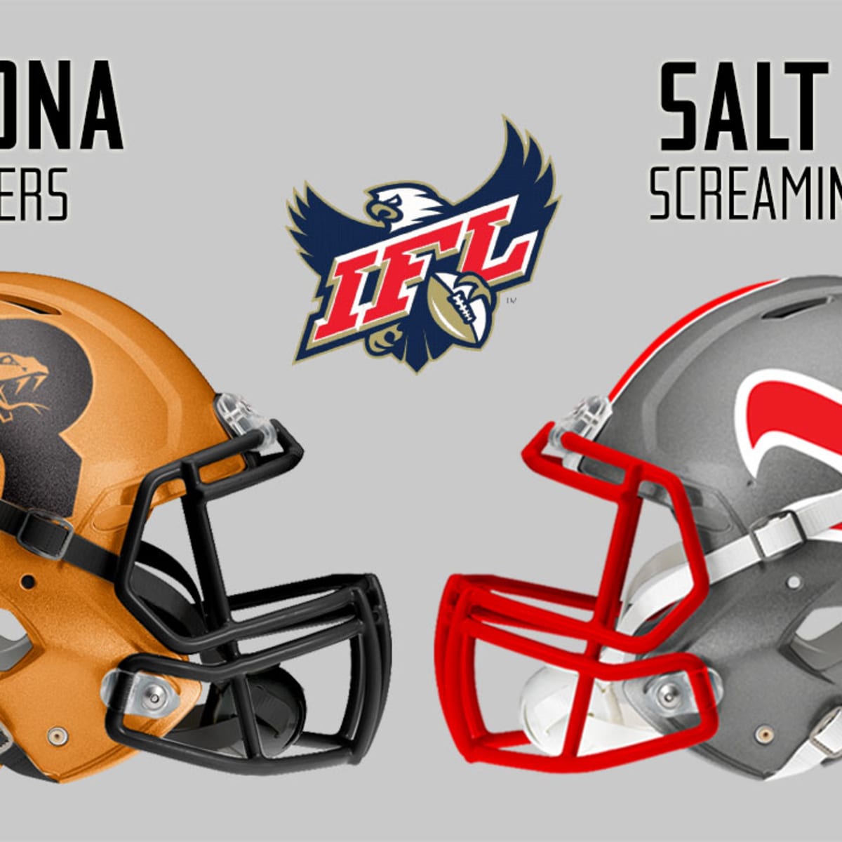 arizona cardinals rattlers