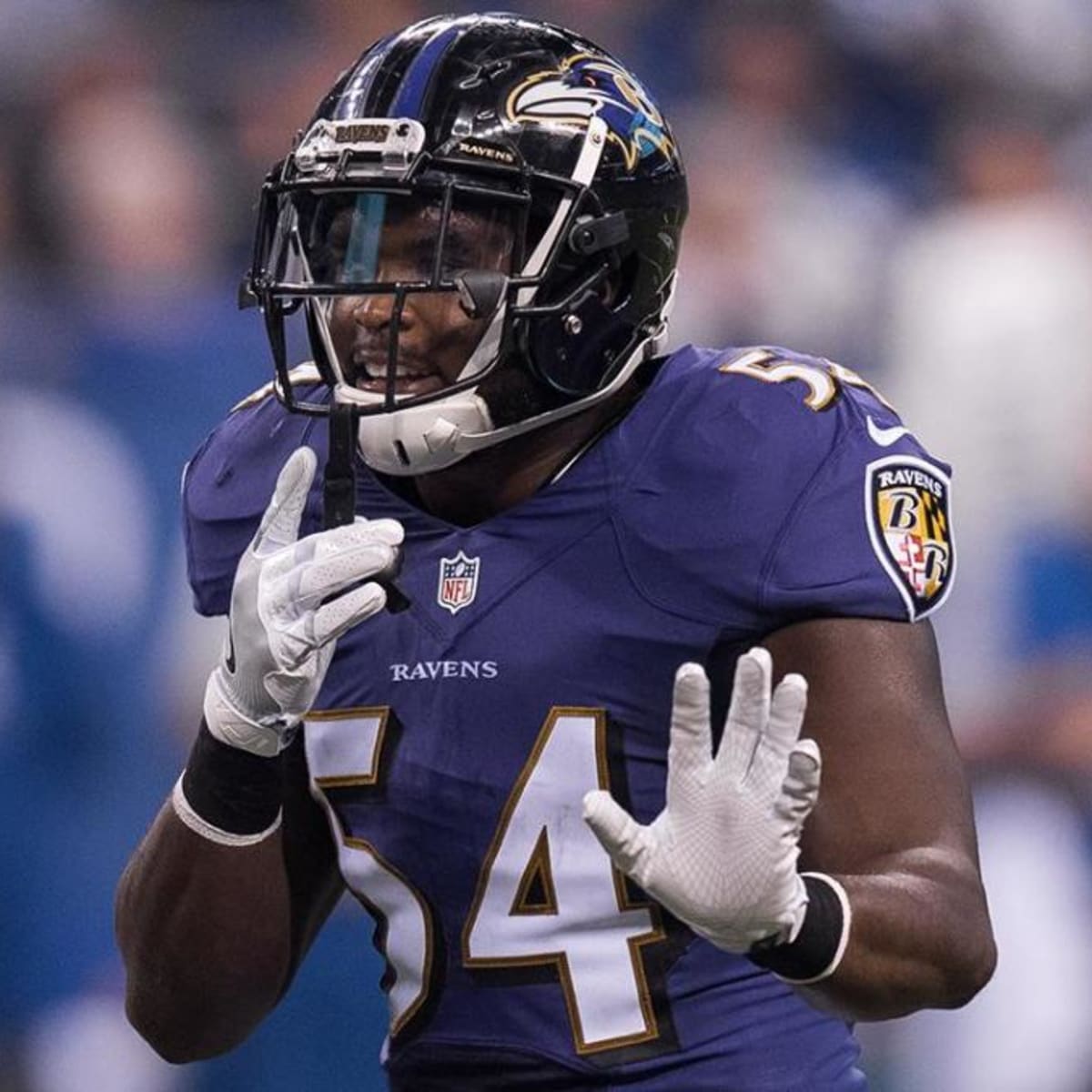 Zach Orr is retiring for good this time : r/ravens