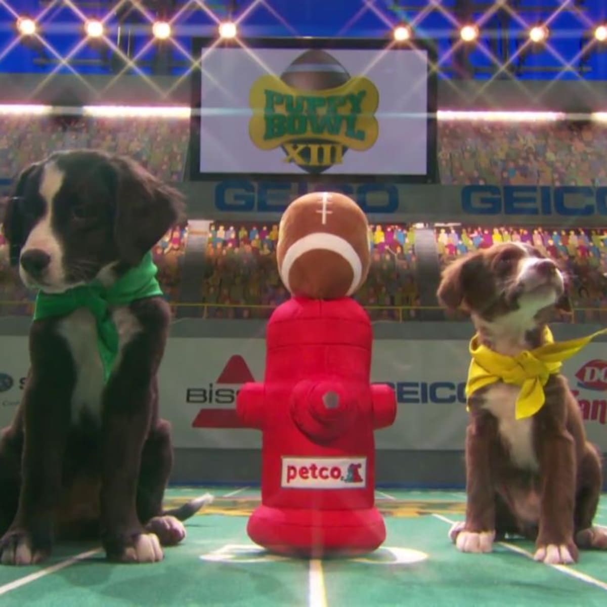 puppy bowl xiii