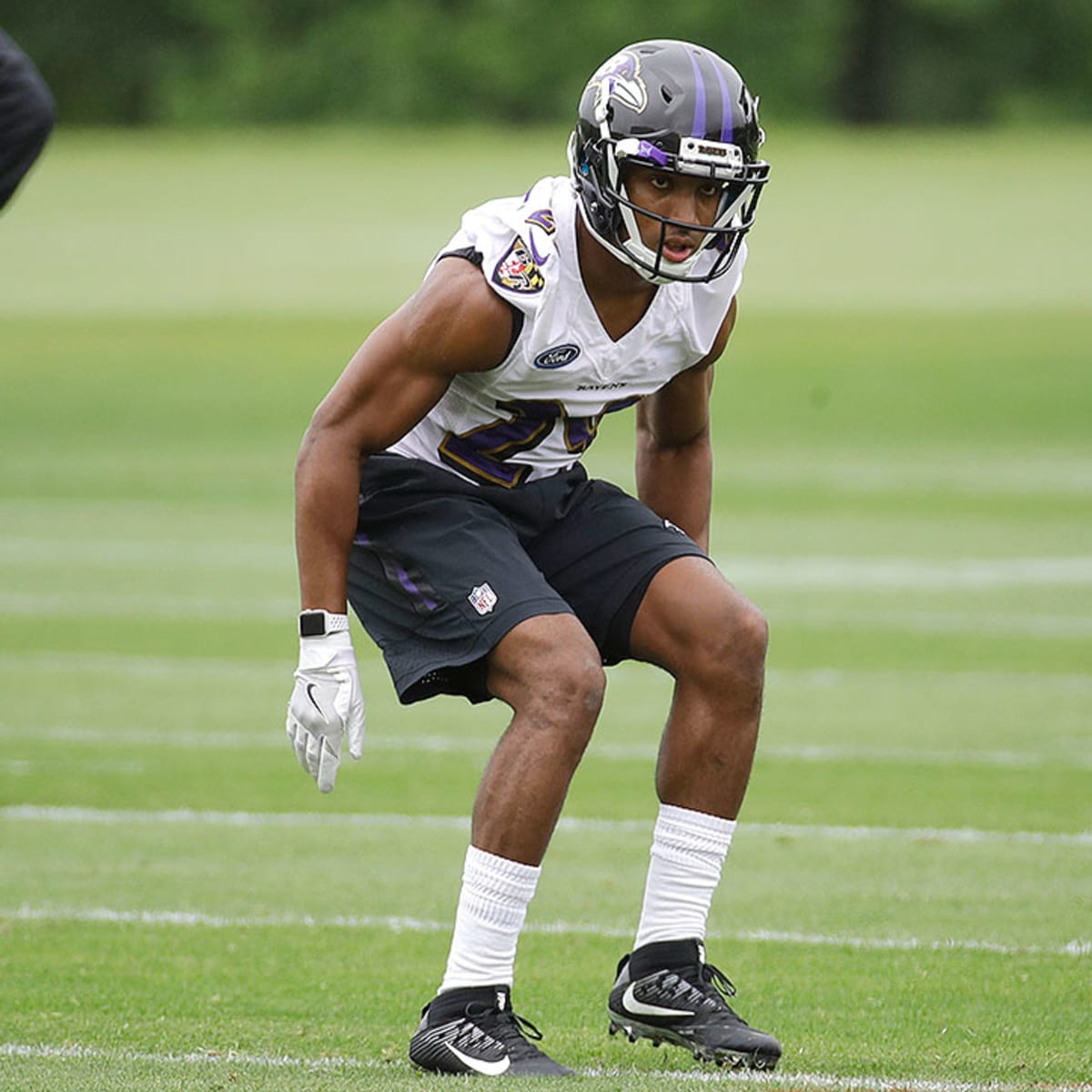 Baltimore Ravens Offseason Grade