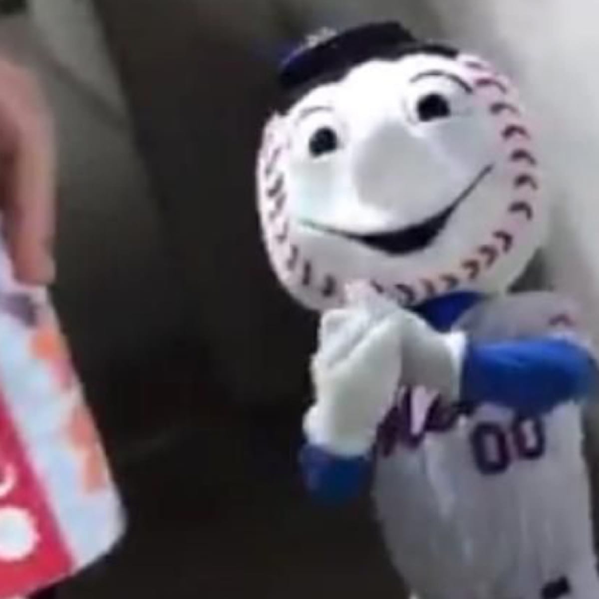 Mr.Met gives a fan the finger : r/baseball