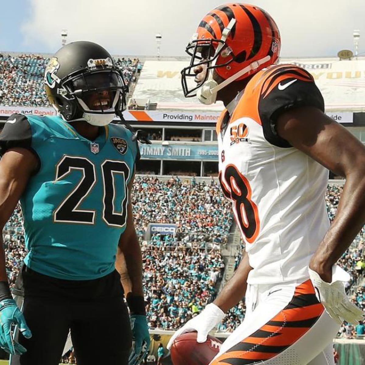 Cincinnati Bengals at Carolina Panthers: A.J. Green injured in defeat