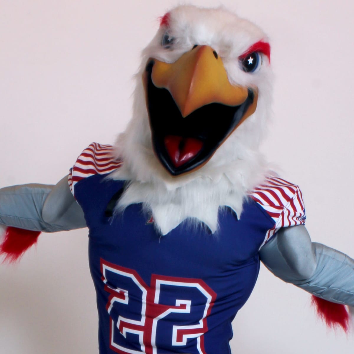 Eagle Mascot - Fantasy Costumes