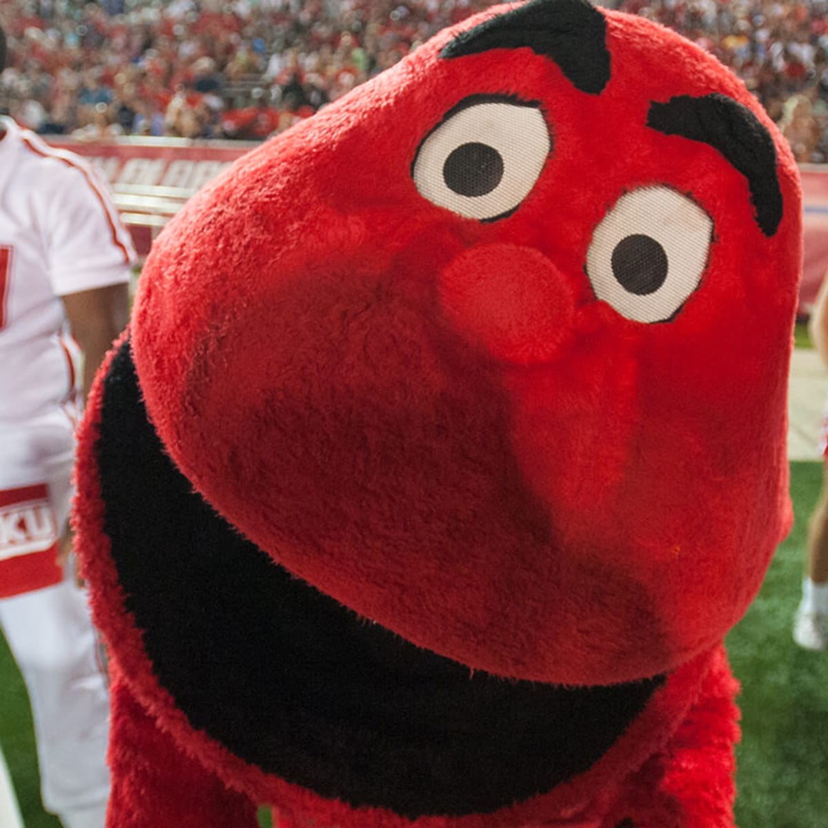 What Is Western Kentucky's Big Red Mascot? - Stadium