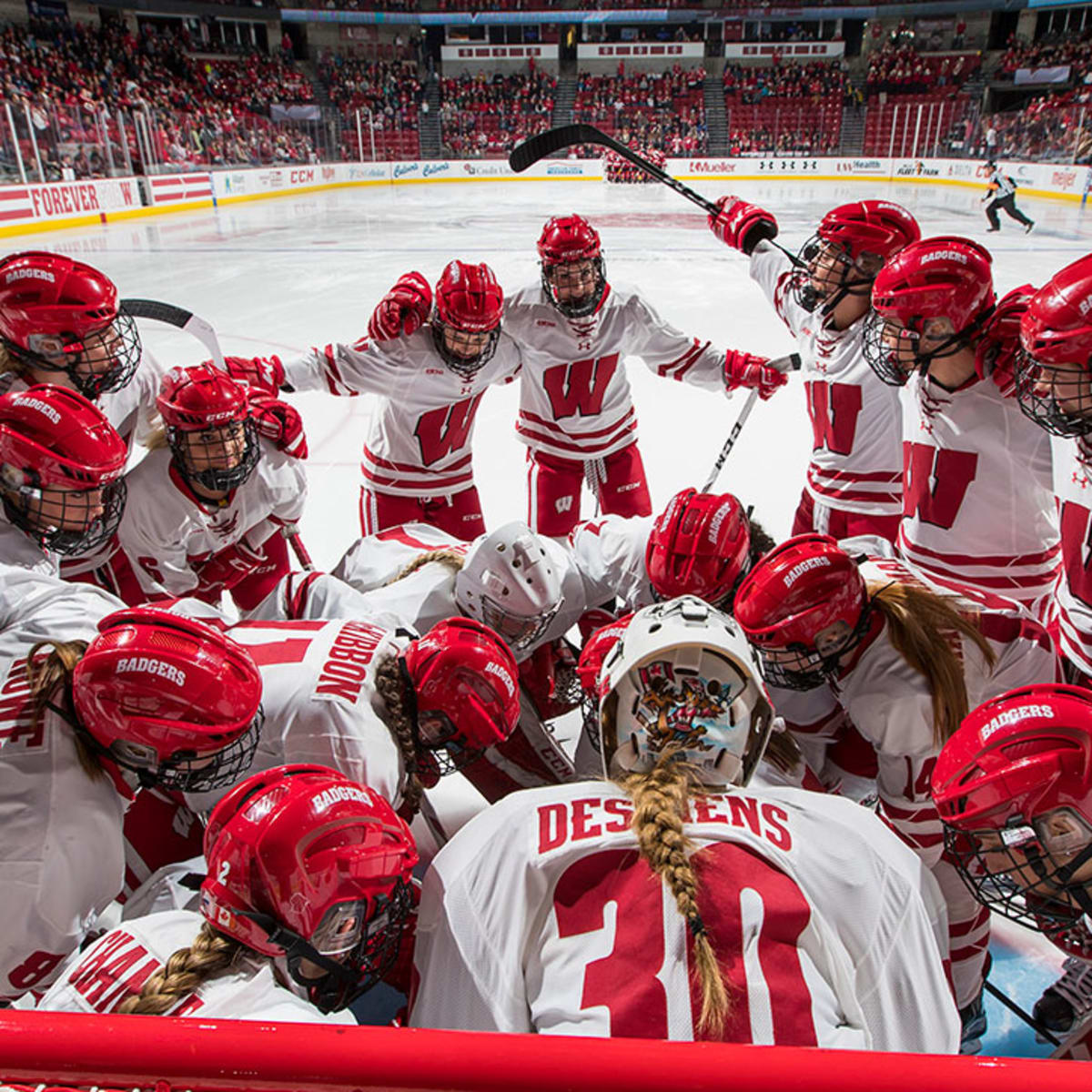 Women's hockey: Wisconsin closes out non-conference home play against  Mercyhurst · The Badger Herald