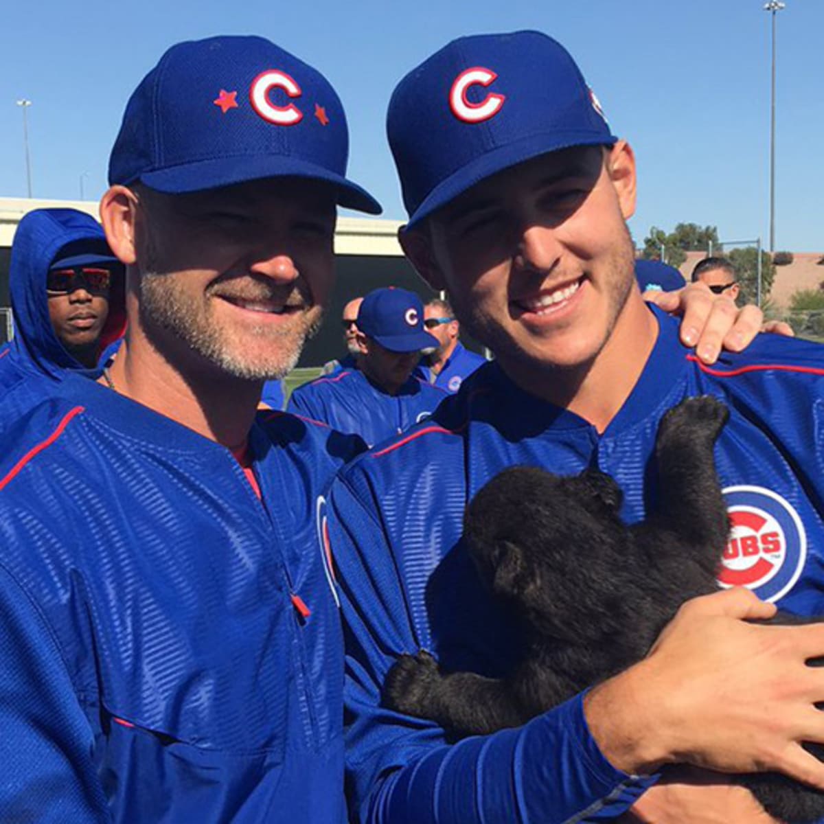 The Chicago Cubs had bear cubs at their spring training today