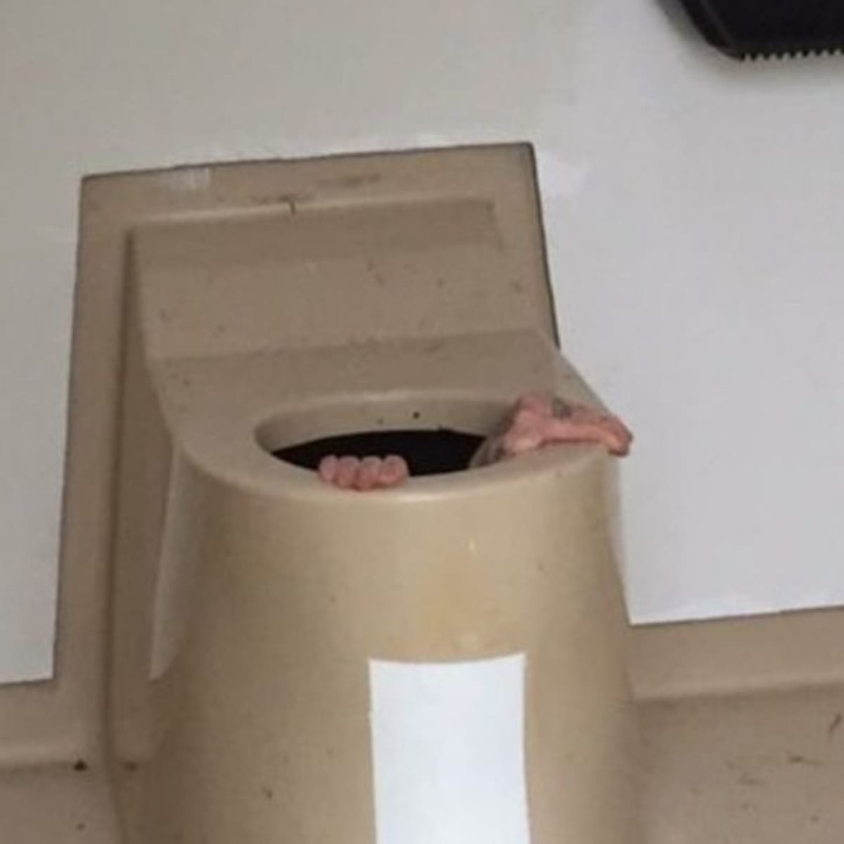 Mortified mum trapped in public toilet unable to get out until