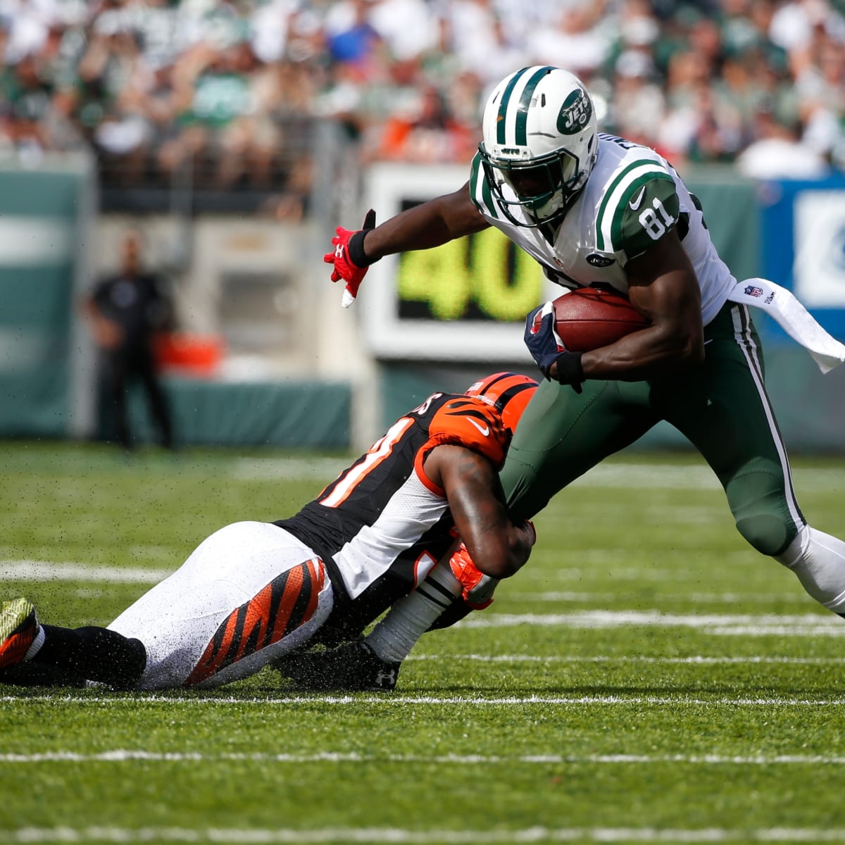 New York Jets Star Receiver Brandon Marshall Goes Down with Knee Injury