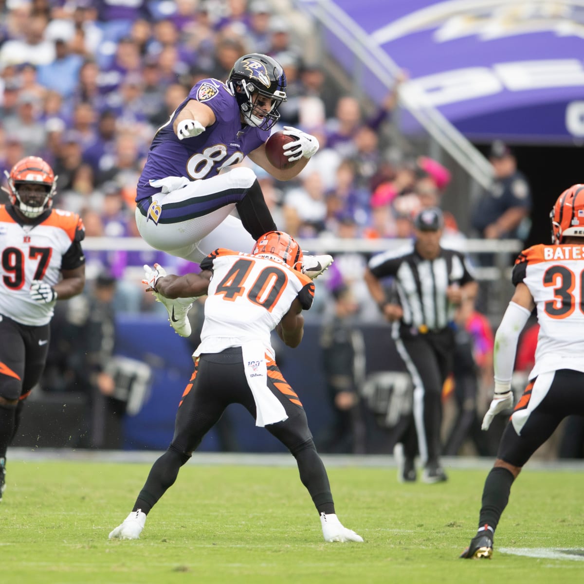 NFL Week 10 Primer: Cincinnati Bengals (0-8) vs. Baltimore Ravens